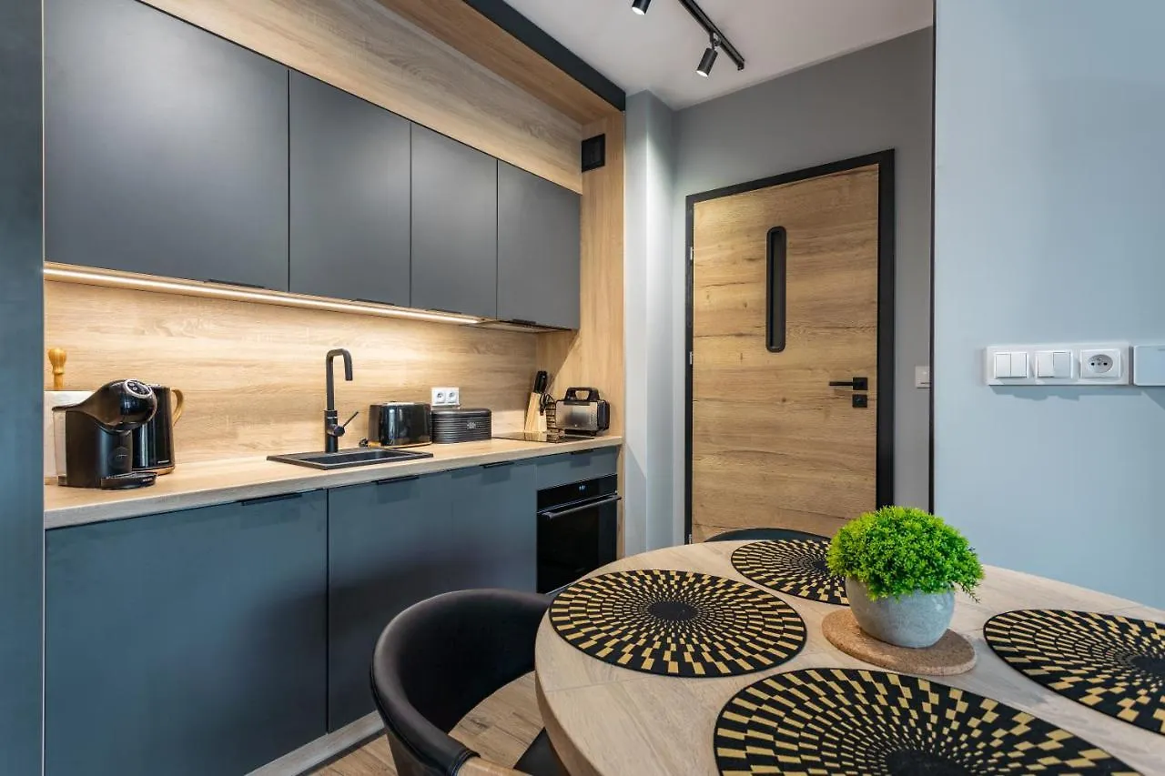 Stone Hill Apartament Wellness Z Basenem Jakuzi Saunami Prywatnym Garazem I Rowerami W Cenie Szklarska Poręba