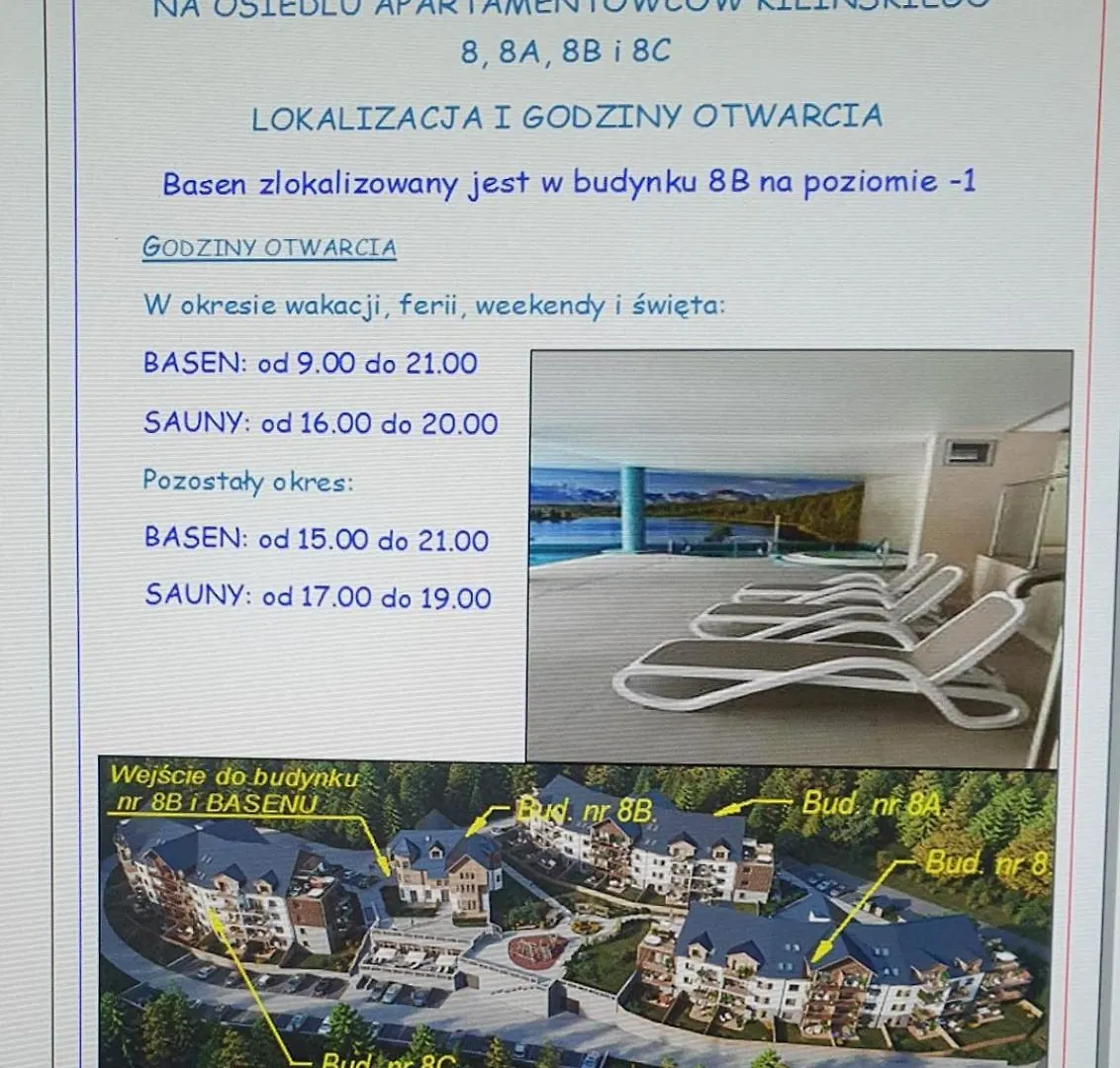 Stone Hill Apartament Wellness Z Basenem Jakuzi Saunami Prywatnym Garazem I Rowerami W Cenie Szklarska Poręba